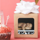 Search for snails puppy dog tails For kids