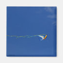 Search for macaw magnets Fun