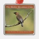 Search for cedar photography Waxwing