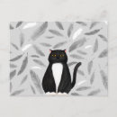 Search for black feathers postcards Cat