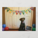 Search for chocolate lab invitations Puppy