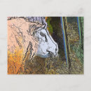 Search for ewe postcards Farms