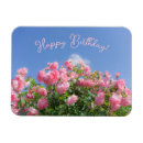 Search for rose blue magnets Pink