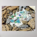 Search for driftwood posters Photography