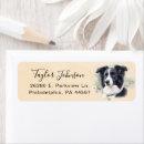 Search for border collie return address labels Watercolor