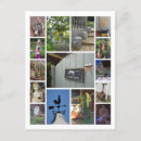 Search for green environment postcards Garden