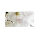 Search for blooming cherry tree return address labels Sakura