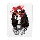 Search for headband magnets Puppy