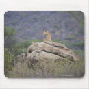 Search for nature reserve mouse mats Wildlife
