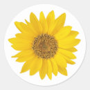 Search for close up stickers Botanical