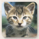Search for outdoor coasters Grey