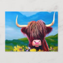 Search for highland cow cards invites Cattle