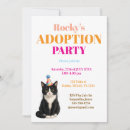 Search for tuxedo cat invitations Pet