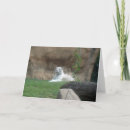 Search for white siberian tiger postcards Animal