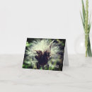 Search for thistle cards Flower