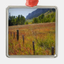 Search for grass christmas tree decorations Colour
