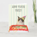 Search for sauce cards Cat