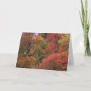 Search for fall seasonal cards Forest