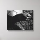 Search for tortoise canvas prints Wildlife