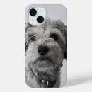 Search for schnauzer iphone cases Puppy