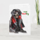 Search for newfoundland dog christmas cards Dogs