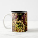 Search for artichoke mugs Photography
