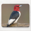 Search for fencing mouse mats Black