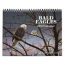 Search for wildlife photography calendars Bald eagle