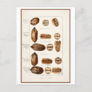 Search for nuts postcards Illustration
