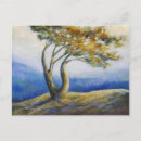 Search for persistence postcards Nature