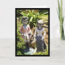 Search for fox cards Photography