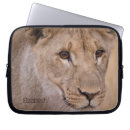 Search for lion lovers electronics Lions