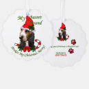 Search for basset hound christmas cards Pets