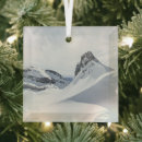 Search for snowshoe christmas tree decorations Mountains