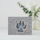Search for pawprints postcards Dogs