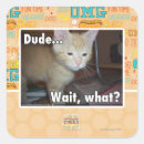 Search for dude square stickers I can has cheezburger