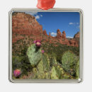Search for sedona arizona christmas tree decorations Cactus