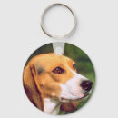 Search for beagle dog key rings Puppies