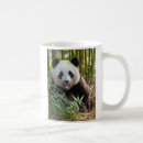 Search for panda bamboo mugs China