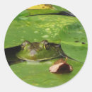 Search for frog lily pad stickers Froggy