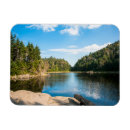 Search for spruce tree magnets Mountain