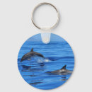 Search for blue water key rings Nature