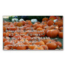 Search for pumpkin patch business cards Fall