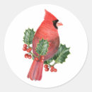 Search for red cardinal stickers Holly berries