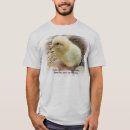 Search for plucker Chicken