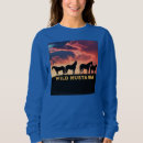 Search for wild mustang Mustangs