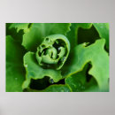 Search for dewdrops posters Droplet