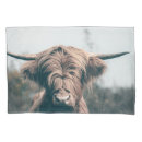 Search for highland pillowcases Scotland