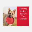 Search for terrier photography Yorkie