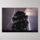 Search for lightning strikes posters Nature